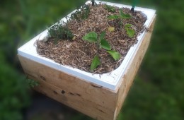 Wicking Beds