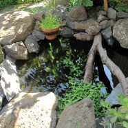 A Permaculture Garden – Brunswick East
