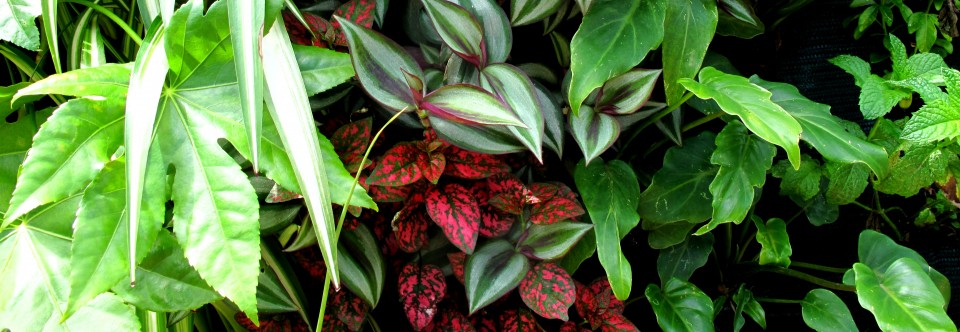 Vertical gardens