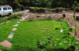 Mini urban orchard – Glen Iris