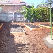 A few raised garden beds – Heidelberg