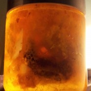 Top bar hive – october harvest