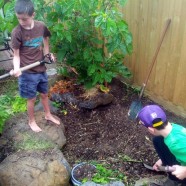 Building a rainfed pond