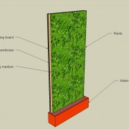 Vertical gardens, green walls and living wall… what’s all the hype about?
