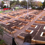 Community Garden Refurbishment