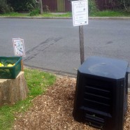 Another guerilla garden in Northcote!
