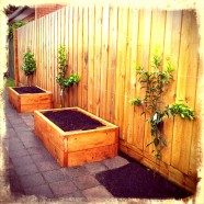 Garden and Permaculture Consultations