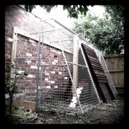 Luxurious fox proofed chicken coop – Thornbury