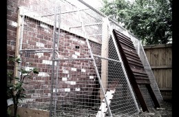 Luxurious fox proofed chicken coop – Thornbury