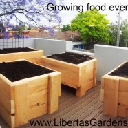Rooftop garden – Richmond