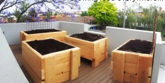 Rooftop garden – Richmond