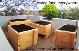 Rooftop garden – Richmond