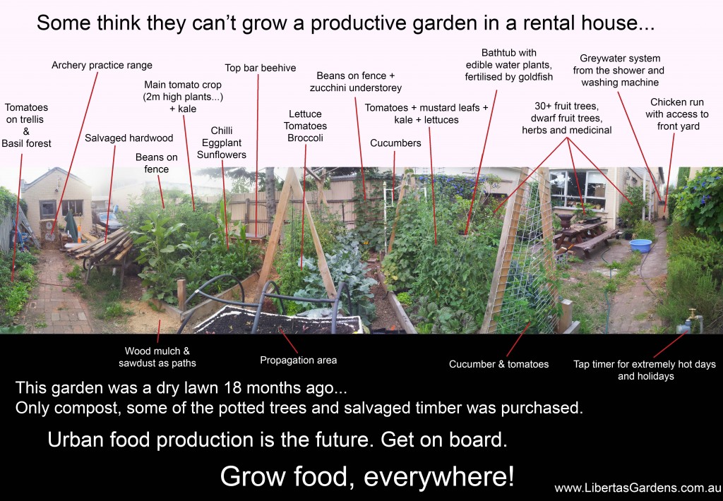 Libertas Gardens - Food Gardens for rental and renters