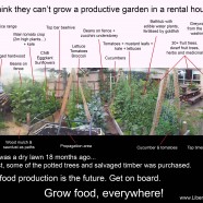 Food gardens for rental and renters