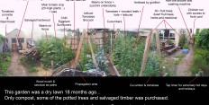 Food gardens for rental and renters