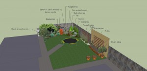 Garden design garden consultation Melbourne